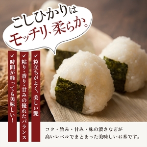 【最短3日発送】令和7年産 新潟県上越市産 コシヒカリ 5kg 精米 無洗米 五つ星お米マイスター