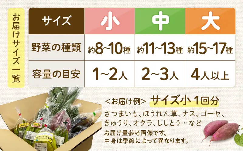 【全４回定期便】春夏秋冬 季節のお野菜セット（サイズ大/約15～17種） 【宮崎県 定期便 詰め合わせ 新鮮 産地直送 おまかせ 季節の野菜 ボックス 農家直送 有機栽培 送料無料 オーガニックのまち 宮崎県綾町】_A0053-015