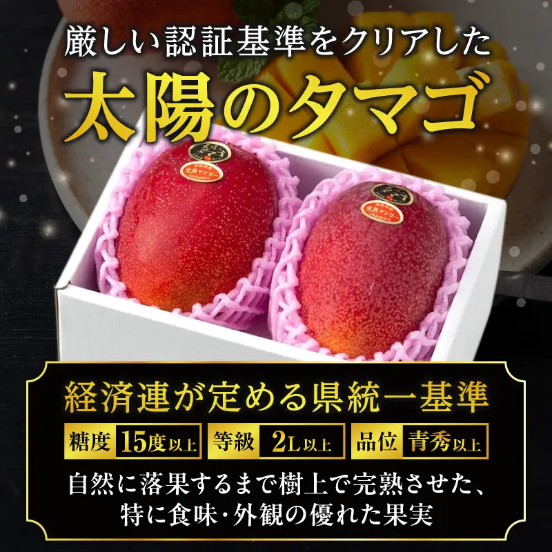 太陽のタマゴ マンゴー 太陽のタマゴ[宮崎 3L 2玉 900g~1kg]
