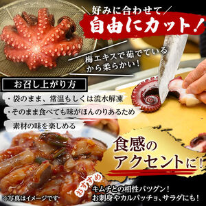 【数量限定】志布志湾ボイル済たこブロック 約750g(約250g×3P) 蛸 タコ 地だこ 刺身 急速冷凍 冷凍 サラダ カルパッチョ キムチ a6-054