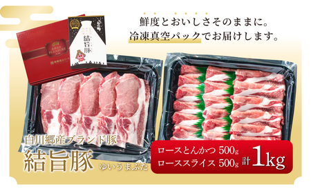 結旨豚 ローススライス 500g ロースとんかつ 500g 計1kg 冷凍真空パック | 肉 お肉 豚肉 国産 食べ比べ セット 白川郷 岐阜県 白川村 ブランド豚 人気 おすすめ ギフト 11000円 飛騨高山ミート [MS011]