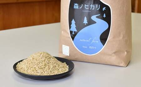 【2025年産米】完全無農薬の玄米『森ノヒカリ(5kg)』『川ノヒカリ(5kg)』セット　Bnm-A22　／お米 朝日 数量限定 四万十 高知 チェーン除草 贈り物 ギフト プレゼント お取り寄せ お歳暮 お中元 御年賀