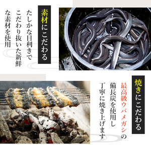 【0263709a】鹿児島県産東串良町のうなぎ白焼(2尾・計280g以上) うなぎ 高級 ウナギ 鰻 国産白焼き 鹿児島【うなぎ太郎】