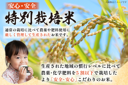 米 令和7年度産 特別栽培米 ミルキークイーン 5kg [渡部ファーム 山形県 高畠町 tk06ays810032]