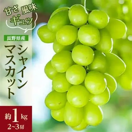 【発送月固定定期便】2026年発送 長野の果物 桃+シャインマスカット全2回【配送不可地域：離島】【4063510】