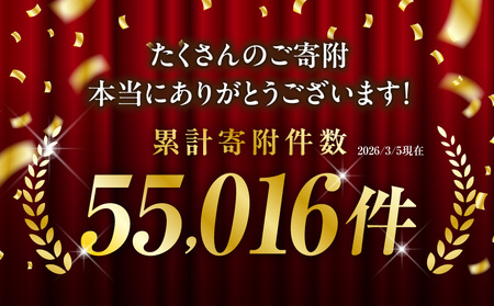遊食豚彩 いちにぃさん そばつゆ仕立黒豚しゃぶ 2人前【 6月出荷 】 K007-002_06 肉 豚肉
