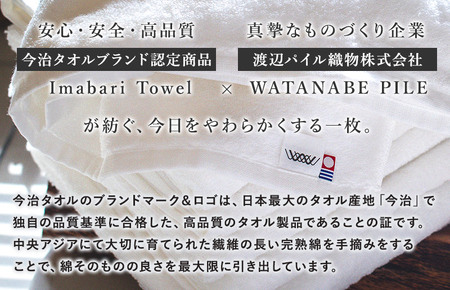（今治タオルブランド認定）しっかりサマルカンド バスタオル2枚セット  グレー/グレー 今治タオル [ID05380GYGY]