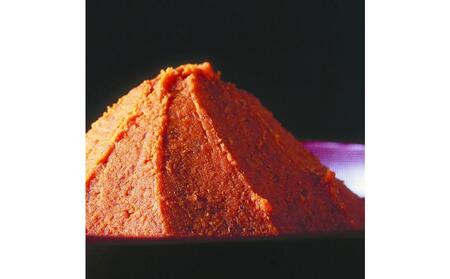 博多もつ鍋セット(九州味噌仕立て) 2～3人前 B089R