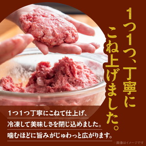 宮崎牛ハンバーグ100ｇ×10個 N124-YD0199