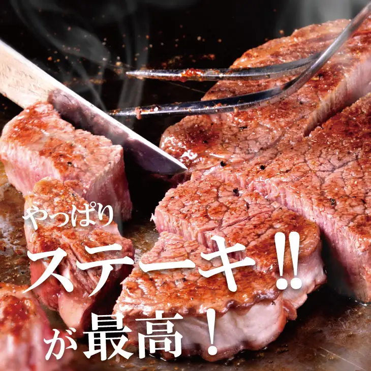 佐賀産和牛ヒレステーキ120g×5 潮風F  ヒレ フィレ 牛肉  D550-002