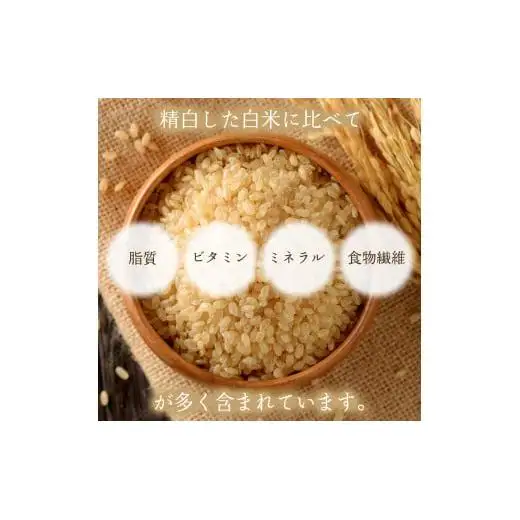 玄米粉パンケーキミックス200g×5袋（奥津かがみちゃんななほしやオリジナルグッズ付き）【009-a010】