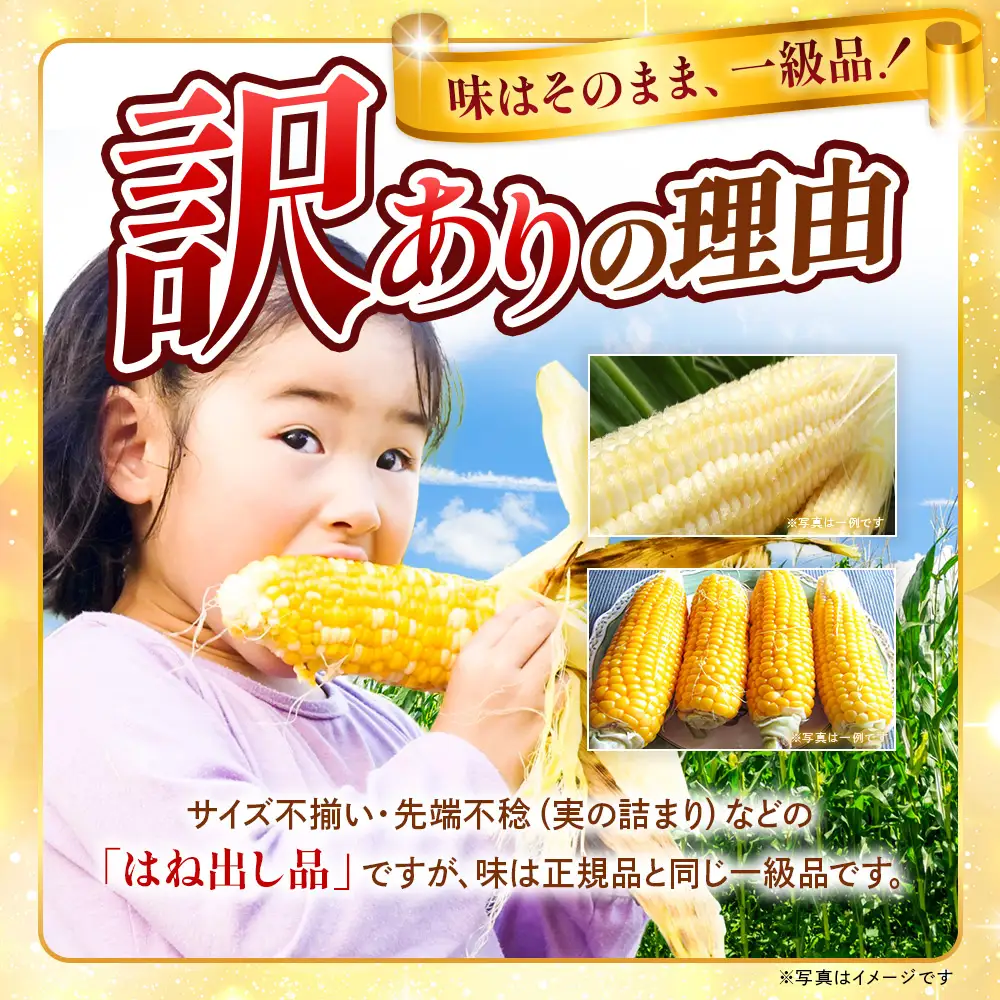 【2026年収穫分先行予約】【訳あり】富士山 恵味ゴールド｜トウモロコシ10～15本｜