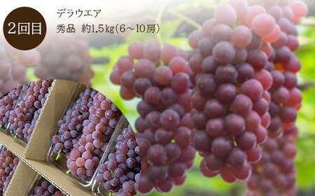 《2026年 先行予約》 やまがた特産 フルーツ定期便 4回定期便 さくらんぼ ぶどう メロン スイカ FSY-2340