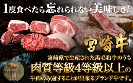 宮崎牛サーロインステーキ(200g×2枚)≪みやこんじょ快速便≫_AC-N401-R_(都城市) ステーキ 牛肉 宮崎牛 和牛 国産 サーロイン 400g 贈答用 ギフト 快速 14日以内お届け