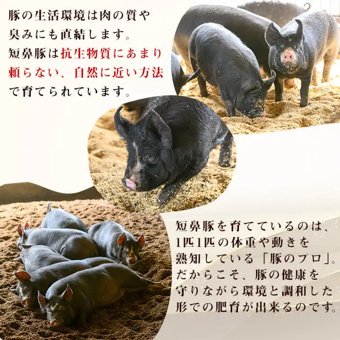 【ギフト対応】「福別府農場」鹿児島黒豚しゃぶしゃぶ（ロース・肩ロース・バラ 各200ｇ） お鍋 冷しゃぶ しゃぶしゃぶ 焼きしゃぶ 黒豚 ロース 肩ロース カタロース 豚バラ バラ 小分け 国産 鹿児島県産 a5-311