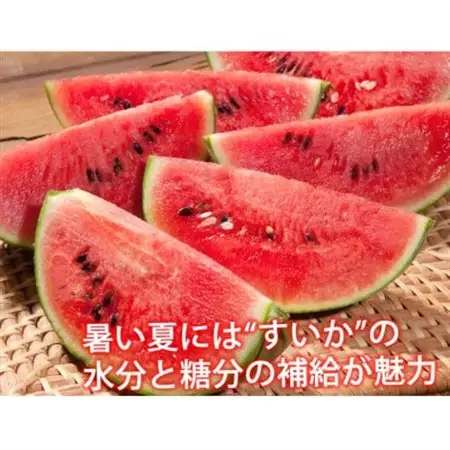 大玉すいか 秀品 1玉(約6kg～9kg)【2026年5月下旬より順次発送予定】【1586101】