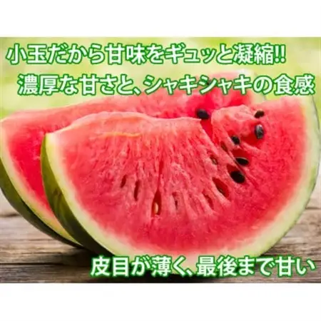 小玉すいか 秀品 2玉 約2～3kg【2026年5月下旬～7月下旬発送予定】【1586188】