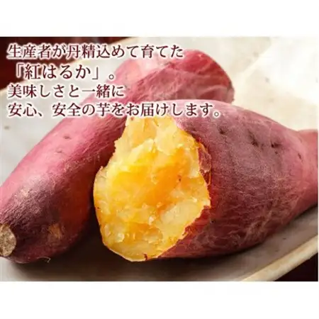 訳あり紅はるか 約10kg(益城町)【1586572】