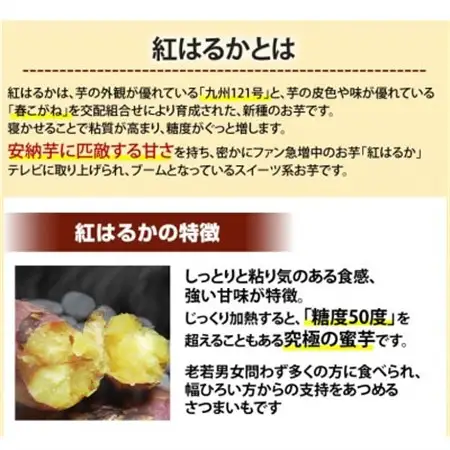 紅はるか 秀品(約5kg)(益城町)【1586865】