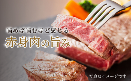 飛騨牛 赤身ステーキ 200g 黒毛和牛 和牛 飛騨高山ミート [MS028]