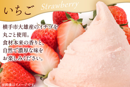 ジェラート イチゴ 約100g×8個