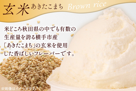 ジェラート 玄米 約100g×8個