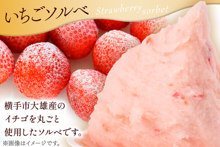 ジェラート いちごソルベ 約100g×8個