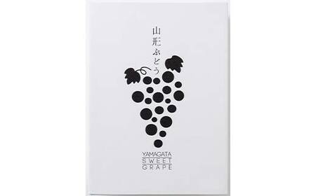 ≪2026年先行予約≫【仲野観光果樹園】ご家庭用 山形県 シャインマスカット1.6kg(2～4房) 種無し ぶどう 2026年9月上旬から順次発送 F2Y-6119