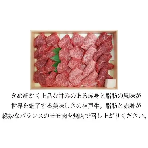 城谷牧場の神戸牛 モモ 焼肉 400g BBQ バーベキュー アウトドア ギフト