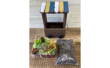 多肉植物 じぶんで植える 多肉 寄せ植えキットＣ 木製 ワゴン型 プランター 全2色 インテリア 植物 寄せ植え ガーデニング 福岡 小郡市 茶色