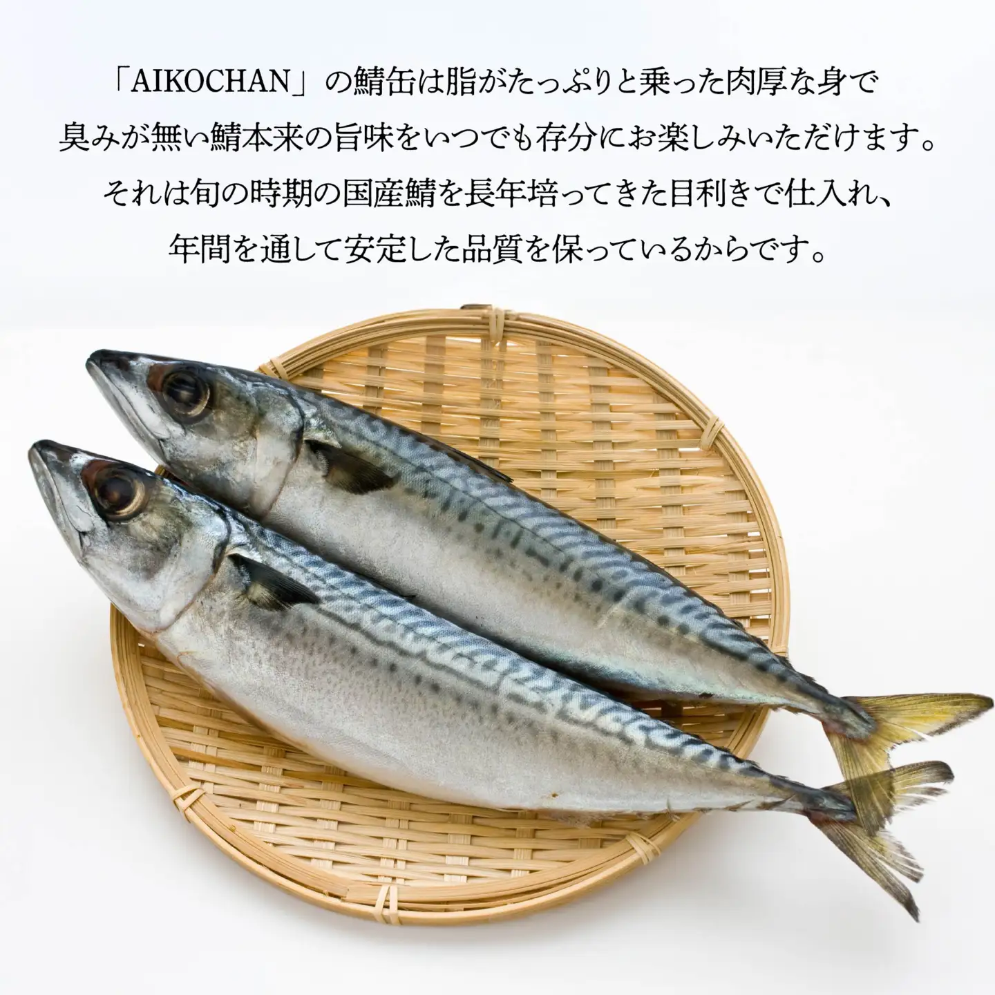 あいこちゃん 青の鯖水煮 食塩不使用 150g 24缶 セット 合計3.6kg 鯖 サバ さば 鯖缶 サバ缶 さば缶 水煮 惣菜 おかず おつまみ 缶詰 缶詰め 缶づめ 非常食 保存食 長期保存 青森県 八戸市　