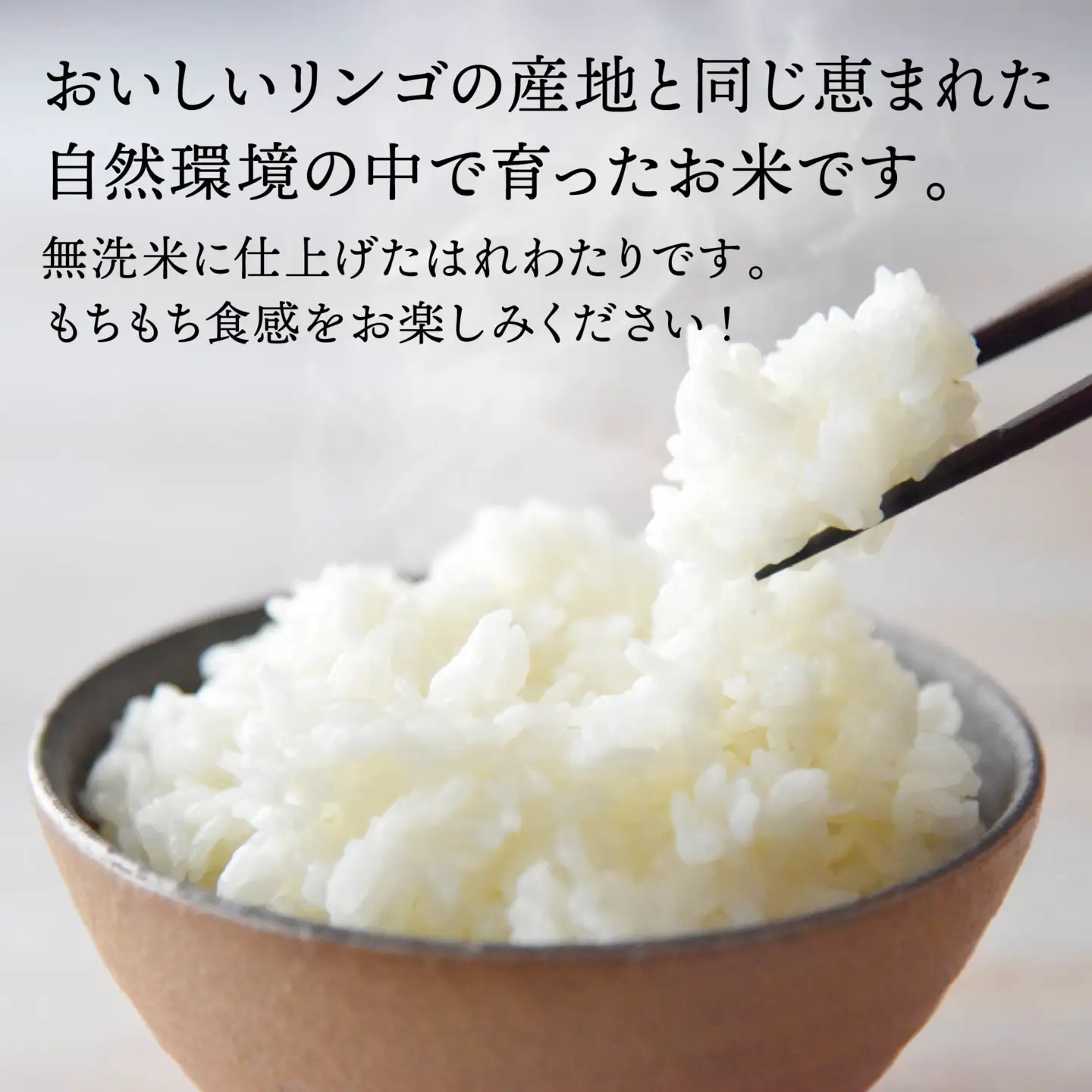 青森県産 無洗米 はれわたり 5kg　