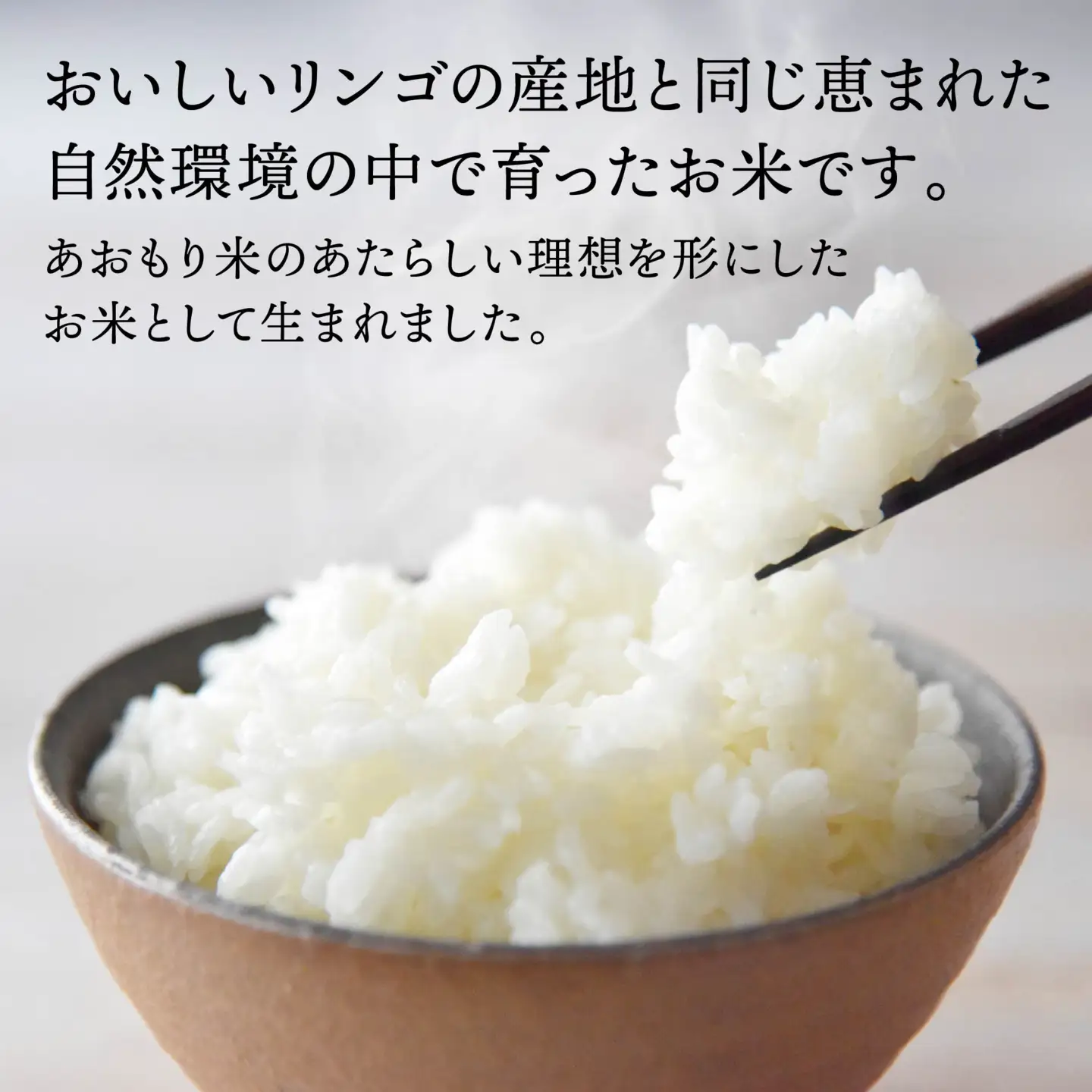 青森県産 はれわたり 10kg 10kg×1袋 令和7年産 米 精米 白米 お米 青森県産