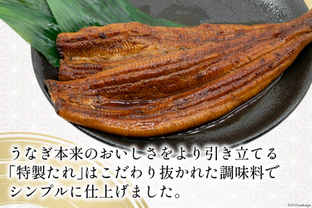 うなぎ 国産 静岡 うなぎ蒲焼 約140g 2尾 セット 計約280g 冷凍 [静岡鰻販売 静岡県 吉田町 22424452]