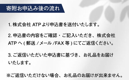 Qリング 瑞浪市 / ATP シルバー アクセサリー ハンドメイド [AZAH007]