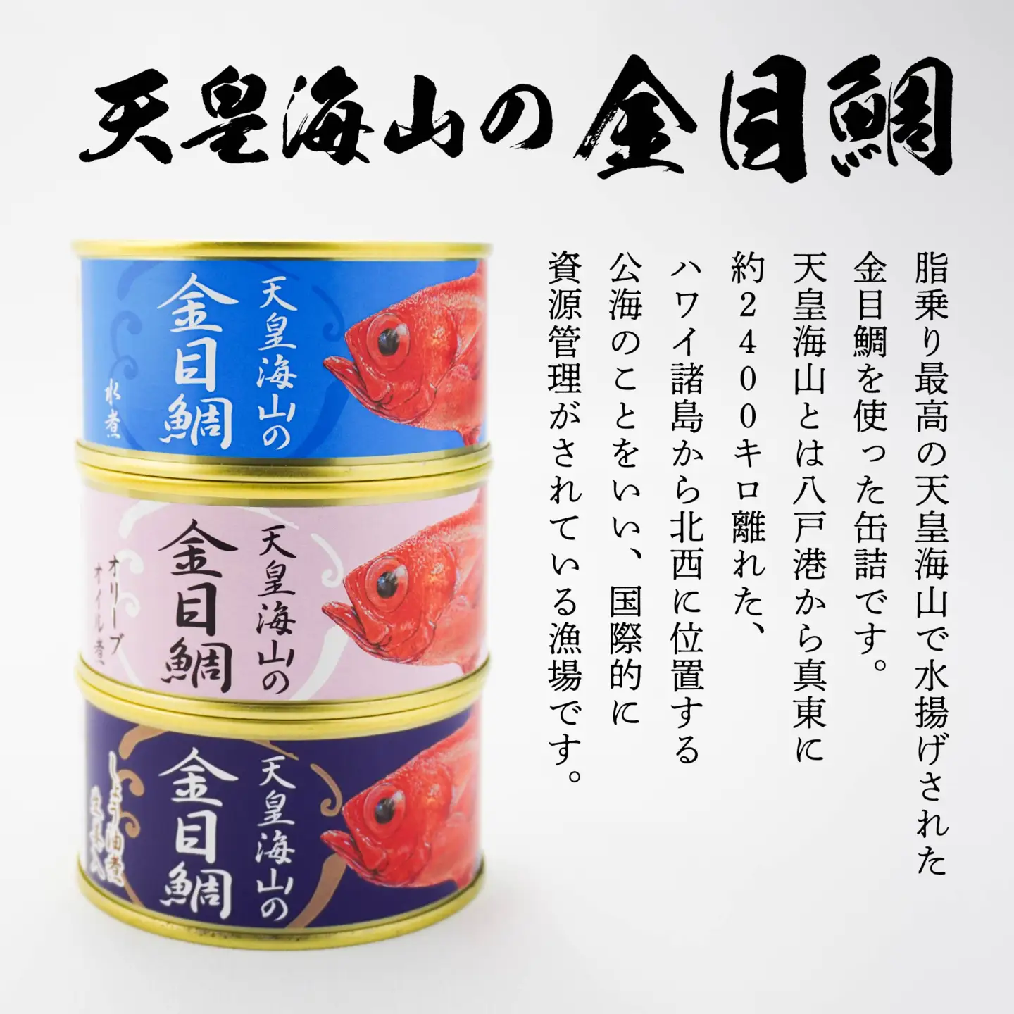 天皇海山の金目鯛 3缶セット 170g×3種 キンメダイ 金目鯛 たい 鯛 タイ 缶詰 水煮 しょうゆ煮 オリーブオイル煮 おかず 惣菜 青森県 八戸市　