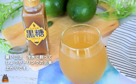 徳之島産しょうが100%使用！体ぽかぽか！しょうが黒糖シロップ（100ml×2本） （ しょうが 生姜 ショウガ 黒糖 黒砂糖 シークニン ドリンク 飲み物 しょうが湯 生姜湯 調味料 瓶 国産 徳之島 奄美 鹿児島 美味しい ）