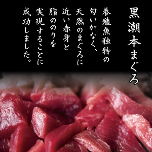 本まぐろ 切り落とし 300g  まぐろ