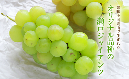 【2026年 先行予約】【訳あり品】瀬戸ジャイアンツ 6～10房 合計約4kg 冷蔵配送 ぶどう 葡萄 フルーツ 果物 岡山 高梁市
