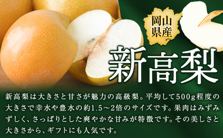 【先行予約】梨 岡山県産 新高梨 約3kg ( 4～6玉 ) 【配送不可地域あり】 株式会社藍《9月下旬-10月下旬頃出荷》 岡山県 浅口市 岡山県産 なし フルーツ 果物 くだもの ナシ 大玉 新高 送料無料