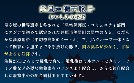 美星満天豚 焼肉 2.0kgセット（豚肩ロース又は豚ロース、豚バラ、豚モモ）小分け真空パック