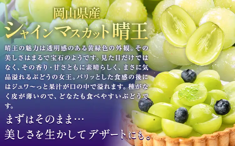 【先行予約】ぶどうシャインマスカット 晴王 約 1.2kg 2房 【配送不可地域あり】 株式会社藍《9月上旬-10月下旬頃出荷》 岡山県 浅口市 岡山県産 ぶどう フルーツ 果物 くだもの マスカット 送料無料