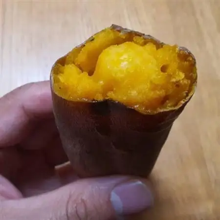 【比類なき幻の焼き芋】100日熟成ギリギリまで糖化したシャトーブリアン焼き芋2026年12月下旬発送【配送不可地域：離島】【1586923】
