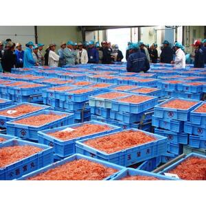 ＜原藤商店＞由比港産　釜あげ桜えび　80g×2◆