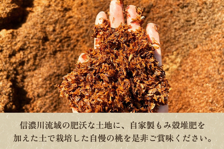 【2026年先行予約】新潟県産 桃 約2kg（5〜8玉）《7月下旬〜順次発送》 もも ピーチ