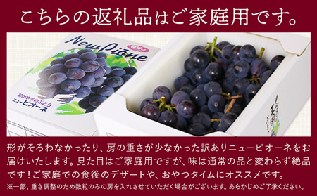 【2026年先行予約】訳あり ぶどう ニューピオーネ ご家庭用 計2kg たけまさぶどう園 《2026年7月下旬-10月上旬頃出荷》岡山県 浅口市 送料無料 フルーツ 果物 岡山県産 青果物 お取り寄せフルーツ【配送不可地域あり】(離島)