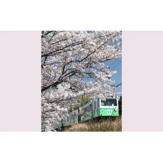 日本に3社4路線しかないナローゲージ（特殊狭軌）四日市あすなろう鉄道 貸切列車の運行［2026年10月10日（土）］