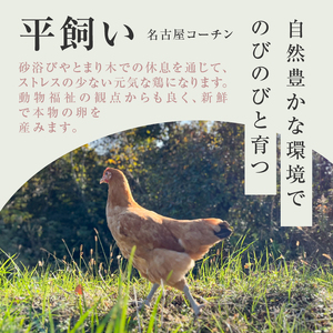 【医師監修】野菜を食べて育った平飼いの卵「名古屋コーチン ベジたま」（30個入り）[154T01]