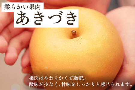 【2026年先行予約】和梨 あきづき 5kg（8～14玉）《9月中旬～順次出荷》 梨