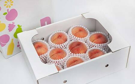 ≪2026年先行予約≫【仲野観光果樹園】ご家庭用 山形県産 おまかせ 白桃 3kg(6～12玉) 2026年8月上旬から順次発送 F2Y-6123